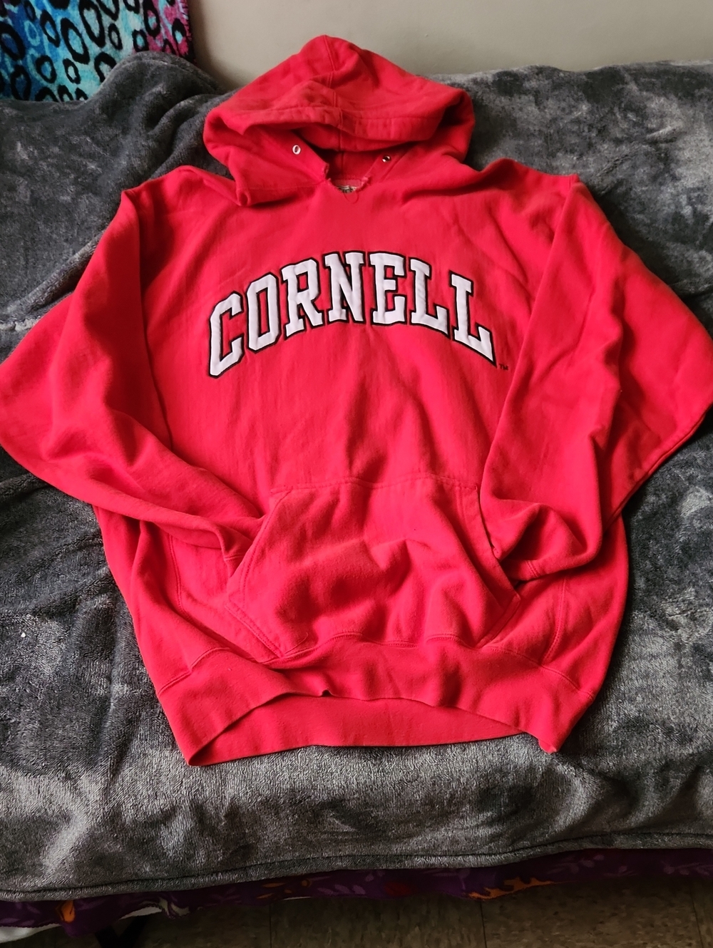 Steve & Barry's Red Cornell Hooded Sweatshirt